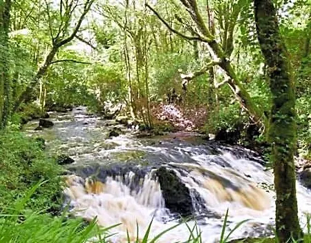 Hotel Ross House Killarone