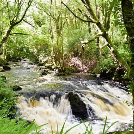 Ross House Hotel Killarone